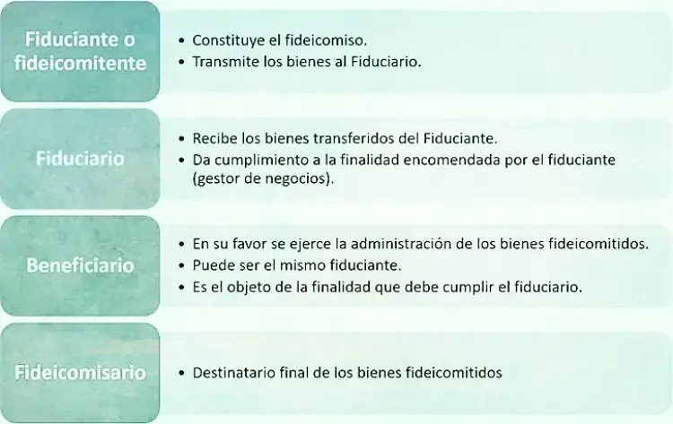 partes-de-fondo-fiduciario-que-es-fideicomiso