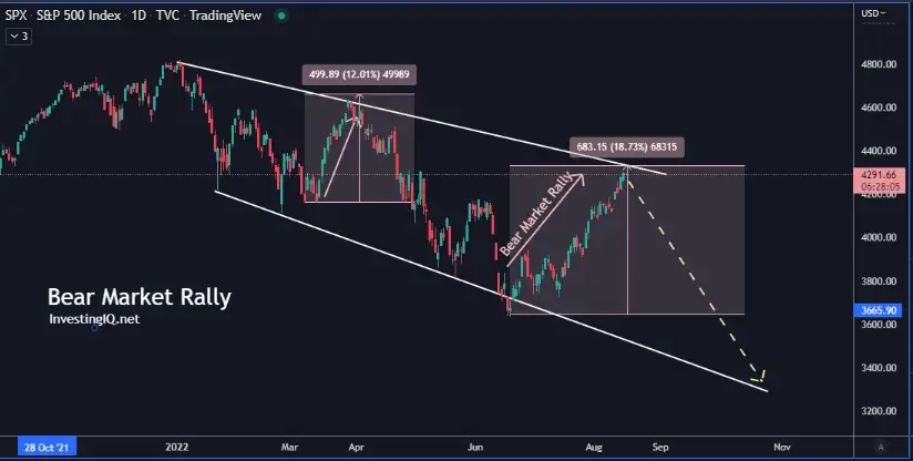 ¿Bear market Rally? ¿Qué es un rally del mercado bajista?